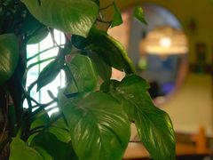 -湘里乡亲甲王二老店