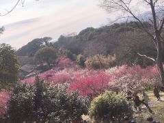 -无锡梅园公园