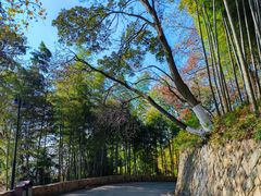 -莫干山风景区