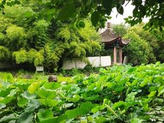 -莲湖公园