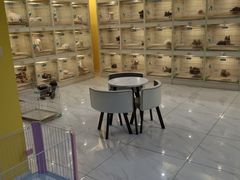 -宠爱多约克夏马尔济斯泰迪小型犬专卖