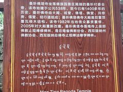 -西双版纳傣族园