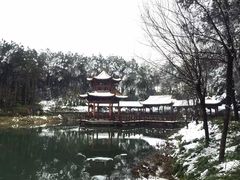 -铁山坪森林公园