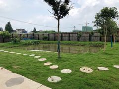 -南汇新场正宗水蜜桃采摘