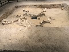 -洛阳周王城天子驾六博物馆