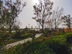 -扁鹊湖阿尔卡迪亚国际度假酒店
