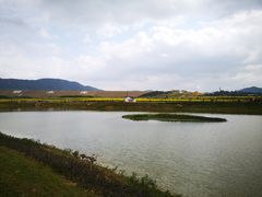 -光明小镇欢乐田园