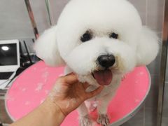 -宠福鑫康馨动物医院·骨科·眼科