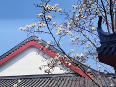 -堤角公园