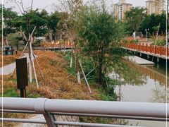 -乐从天佑城海洋馆