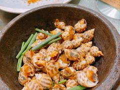 白灼海螺-猪肉婆私房菜(容桂总店)
