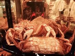 -蟹道乐(道顿堀本店)