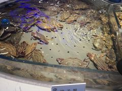 -澜悦港海鲜体验主题餐厅