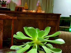 android_upload_pic-福慧慈缘素食餐厅(王府井店)