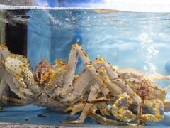 -达叔香味海鲜(海棠68环球美食街店)