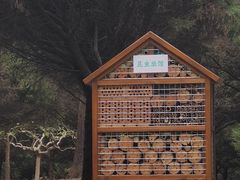 -东升八家郊野公园