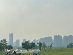 -洋湖国家湿地公园