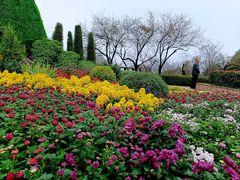 -南山植物园