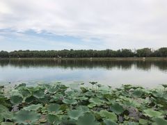 -素心小筑(后沙裕镇店)