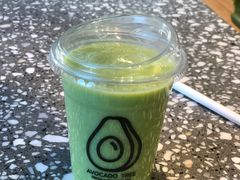 -油梨树AVOCADO TREE(望京店)