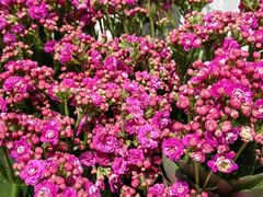 -潇湘·永州会馆(百子湾店)