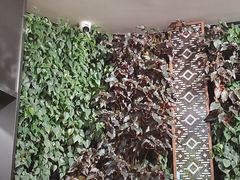 -Peet's Coffee皮爷咖啡(德基店)