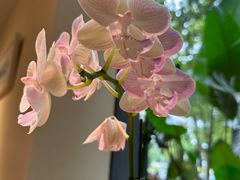 -BOCATA 西班牙餐厅(三里屯店)