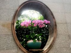 -荔湾湖公园