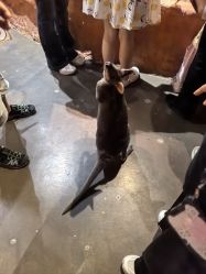 -Zoolung Zoolung动物主题公园(海信广场店)