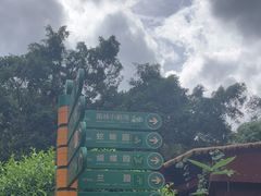 -野象谷景区