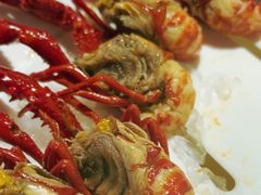-红盔甲·小龙虾(车公庙店)