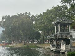 -荔湾湖公园