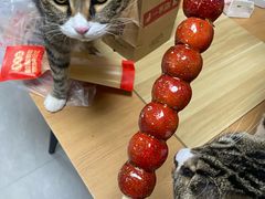 -京天红酒家(虎坊路店)