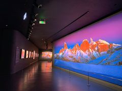 -罗红摄影艺术馆