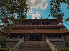 -三水森林公园