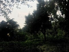 -云溪植物园