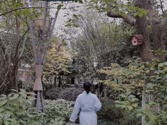 -张家港金凤凰度假村温泉