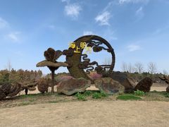 -东平国家森林公园