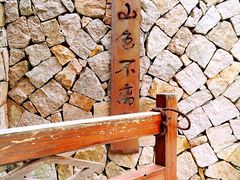 -看见远方·莫干遥远的山民宿