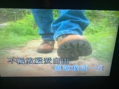 -金麦圣KTV