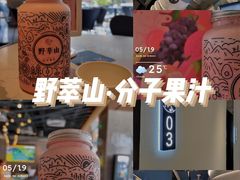 -野萃山·潮汕厚果汁(十亩地店)