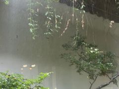 -花迹(富春江东街店)