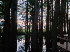 -东湖落雁景区