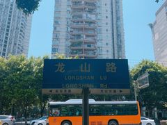 -大龙山(地铁站)