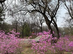 -沈阳植物园
