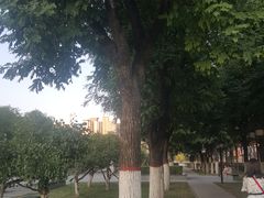 -木塔寺遗址生态公园
