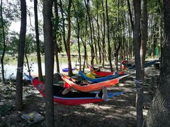 -龙湖东院农庄(乡间小路店)