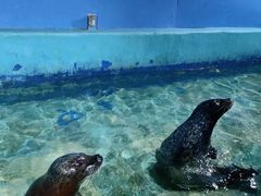 -太平洋海底世界