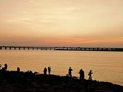 -宝安西湾红树林湿地公园