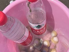 -启东黄金海滩景区
